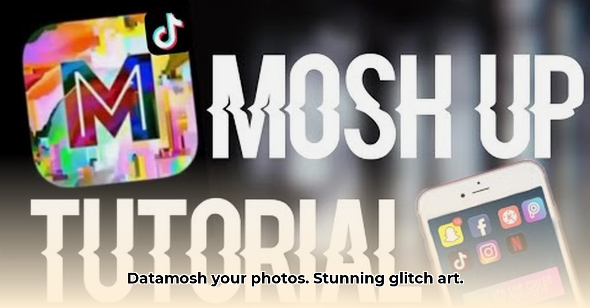 mosh-up